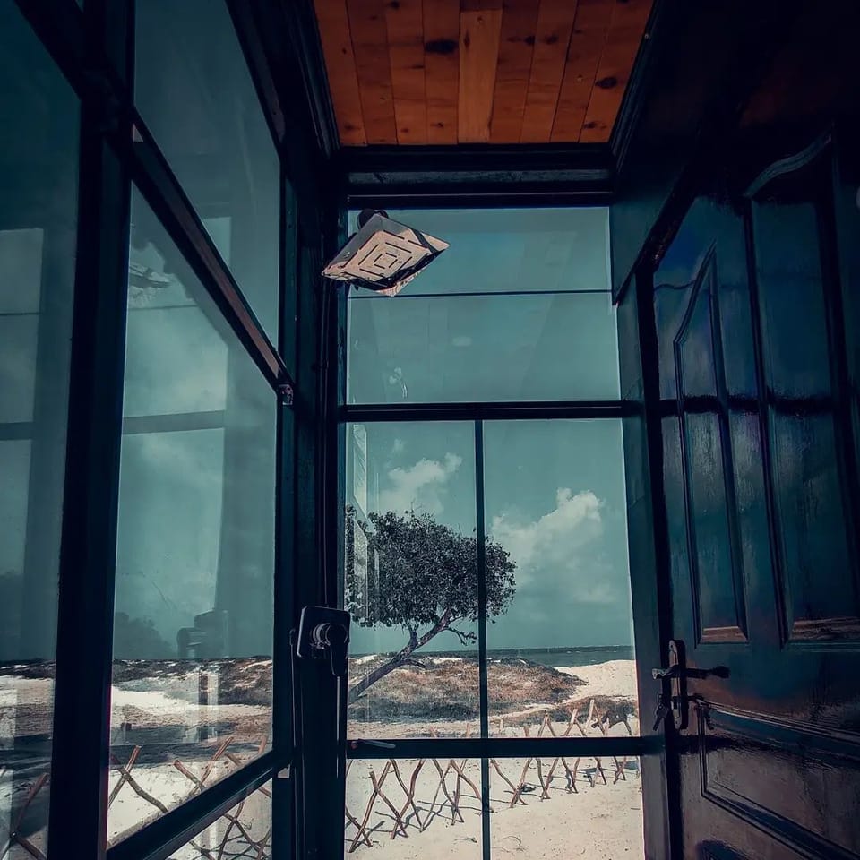 Shower with a view
