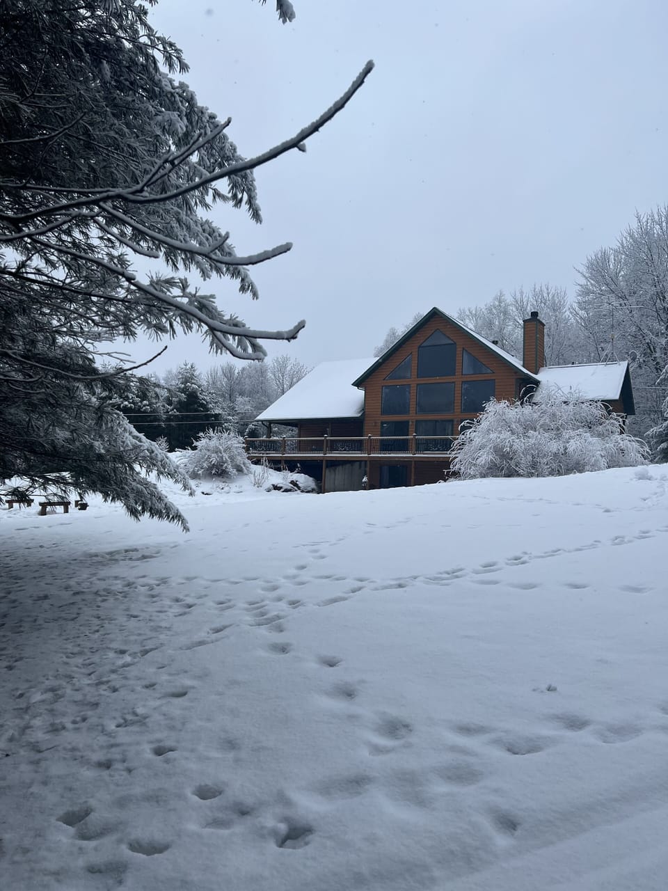 Winter wonderland 