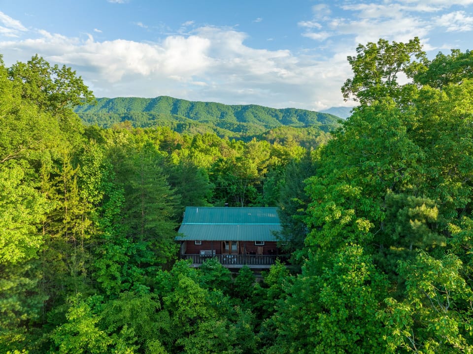 Cabin 