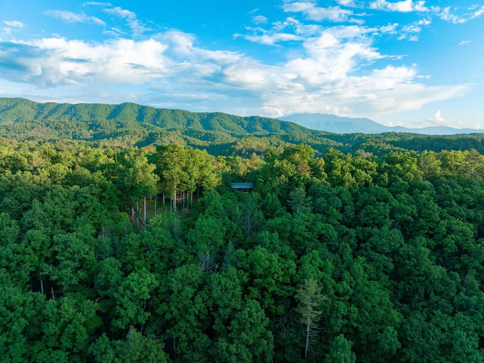 Drone shot of the Cabin and views