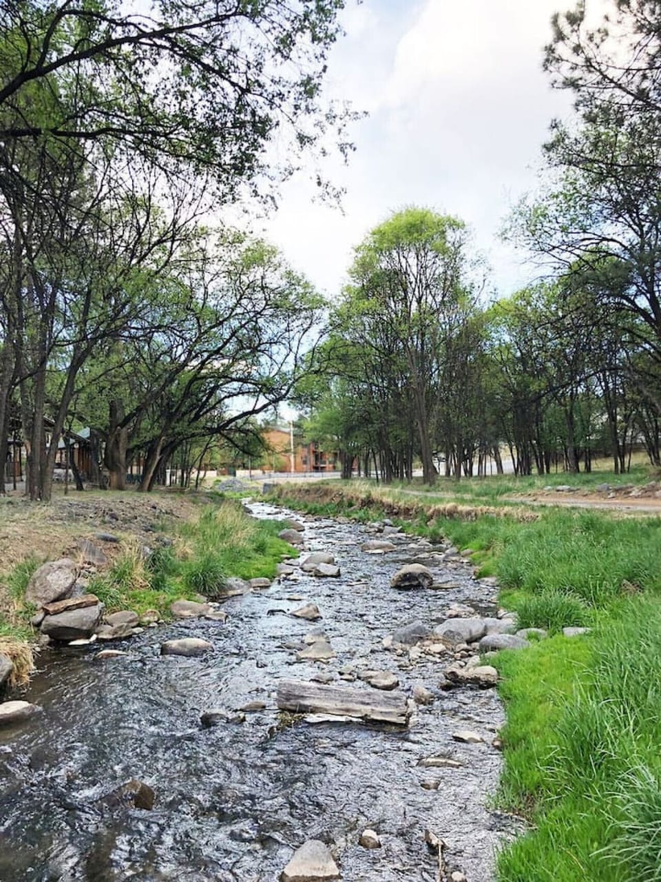 Walk to the Rio River- just a short little walk down the hill! Great time for kids, beautiful pictures or if you just want to take in the beauty of the outdoors!