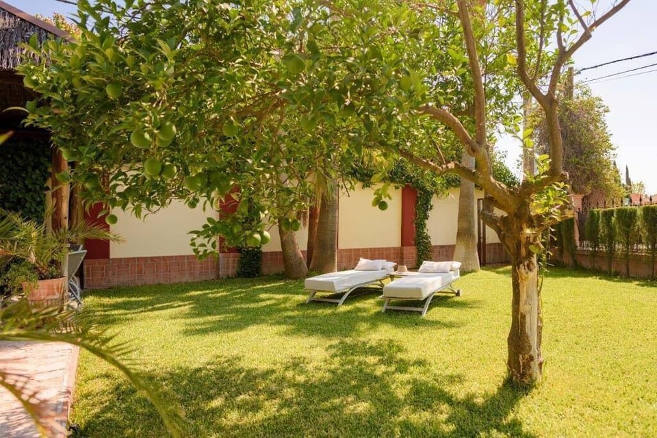 You can't miss to enjoy the swimming pool and the sun loungers. (2)