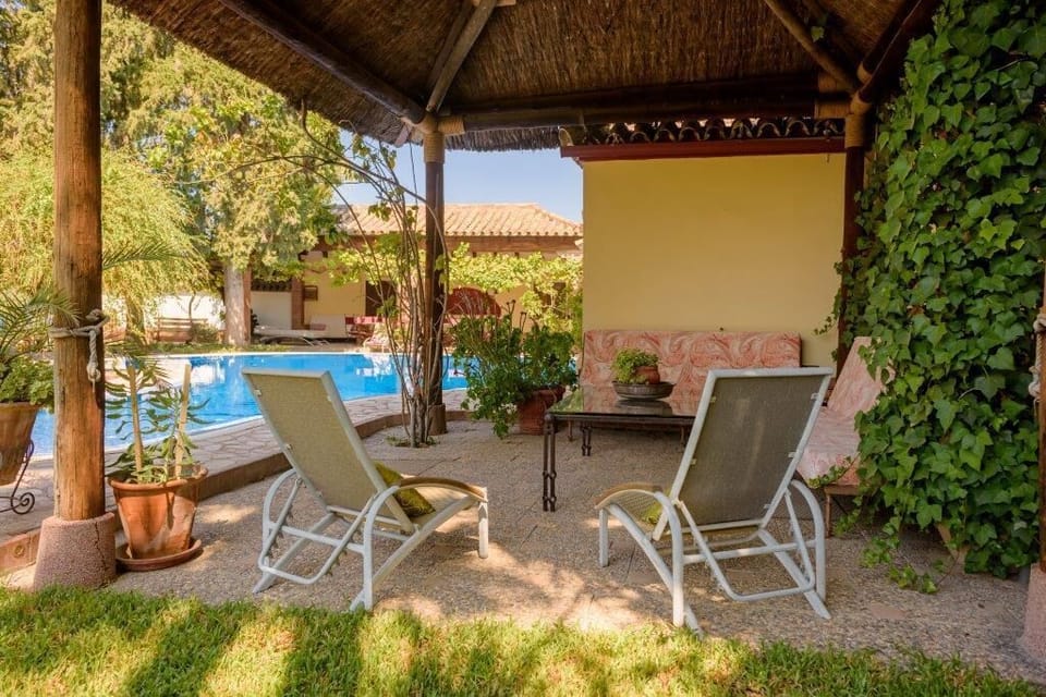 You can't miss to enjoy the swimming pool and the sun loungers. (3)