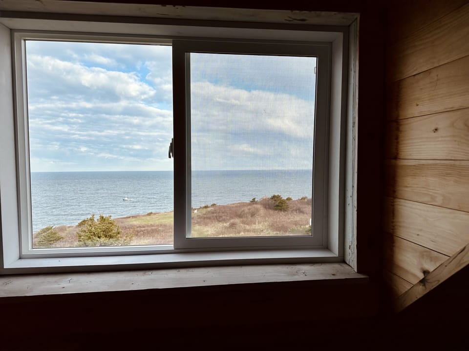 The cozy twin/single bedroom view
