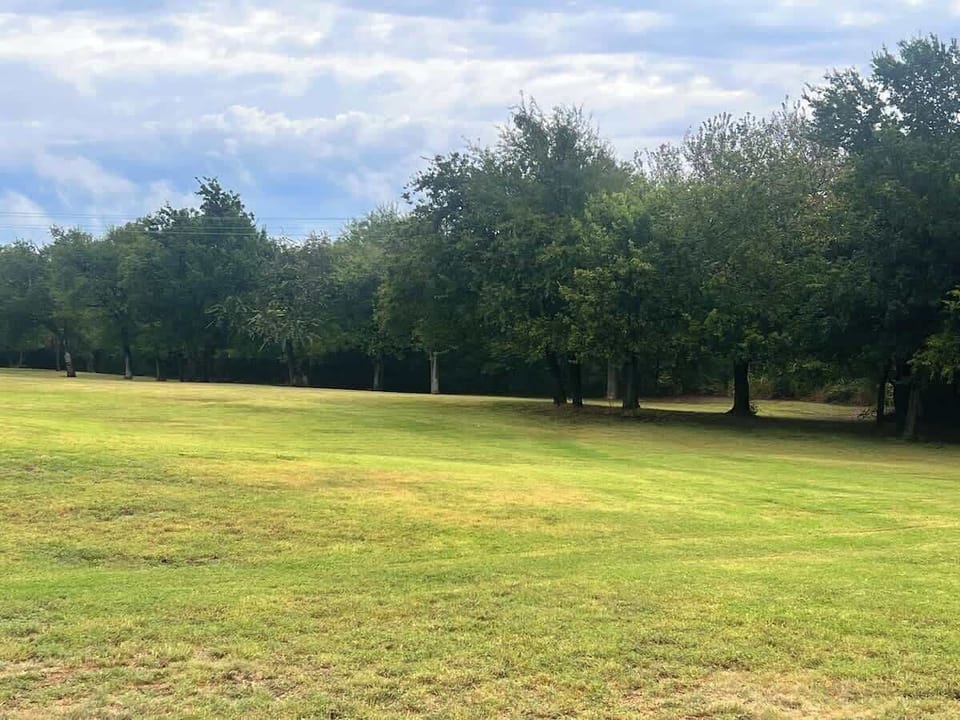 Image picker 240F2A2D DE08 4101 AC69 85FC8CD377F0 22496 000003D210ACC59D