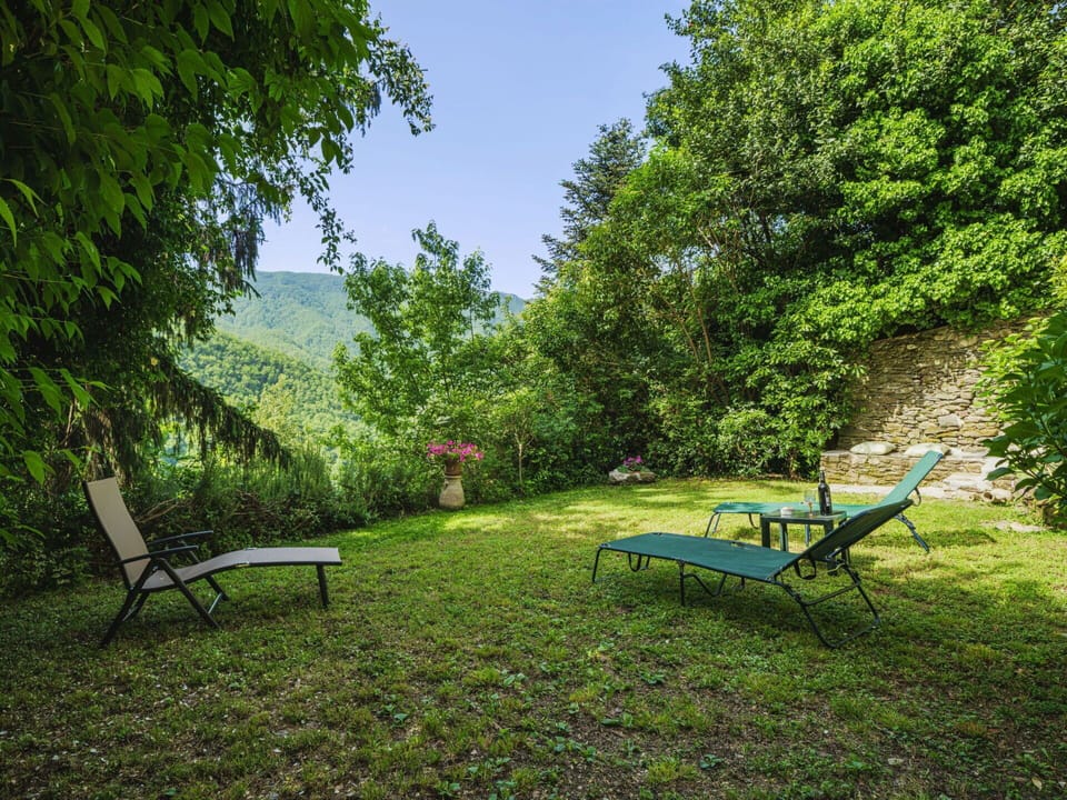 Plant, Furniture, Plant Community, Sky, Green, Outdoor Bench, Shade, Natural Landscape, Tree, Outdoor Furniture