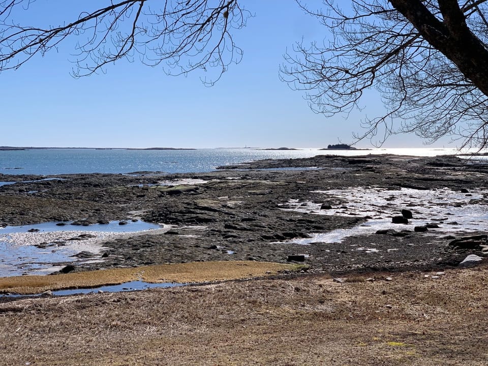 Shoreline in Winter