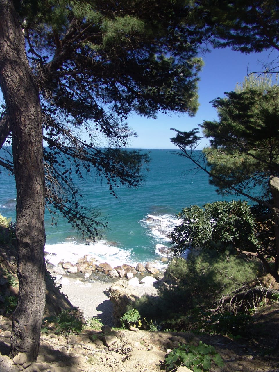 Beach