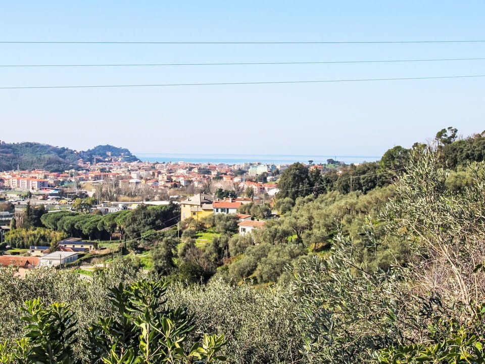 Vegetation, Horizon, Plant Community, Residential Area, Hill Station, Suburb, Shrubland, Chaparral, Village, Mountain Village