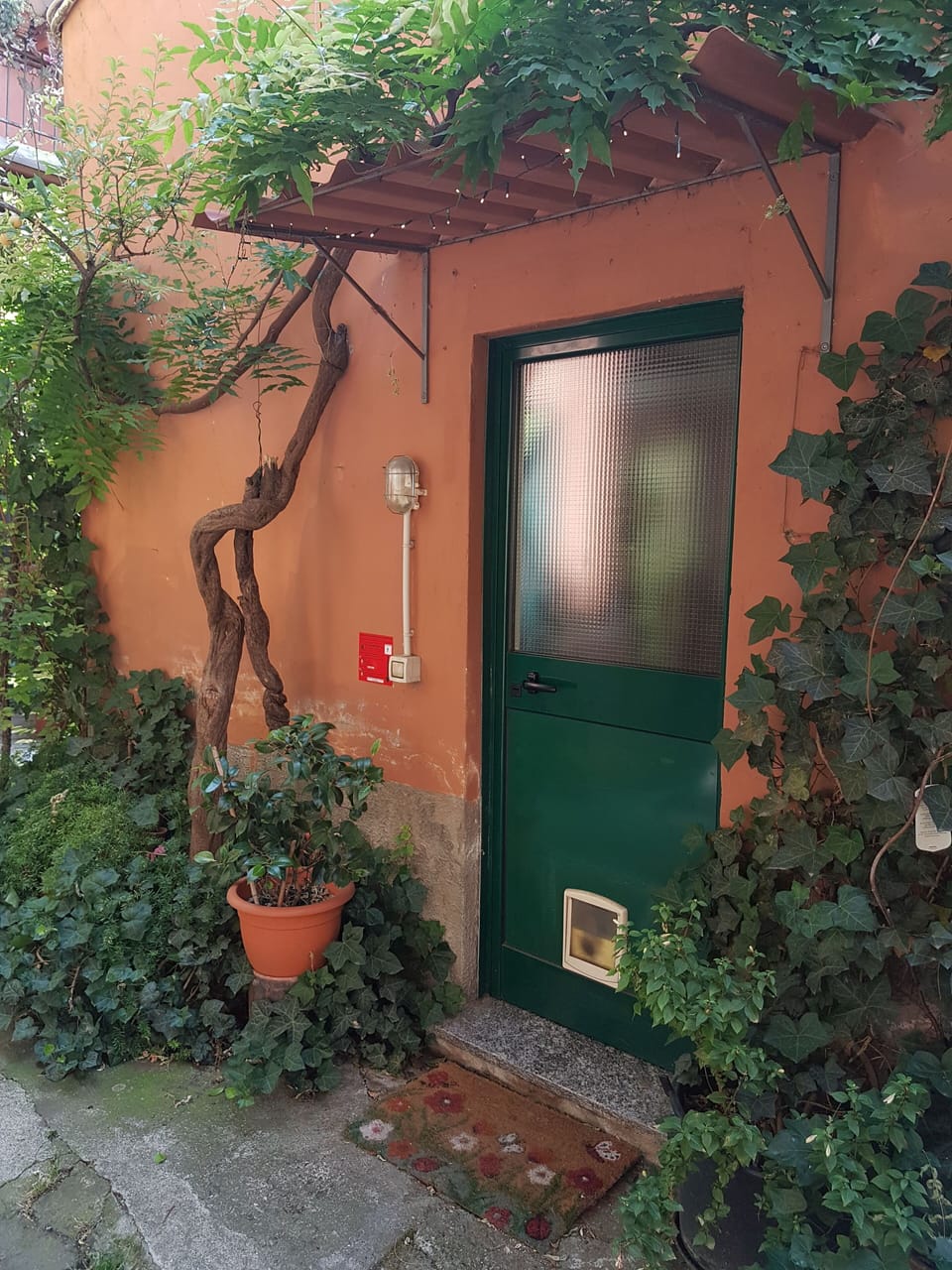 Exterior detail