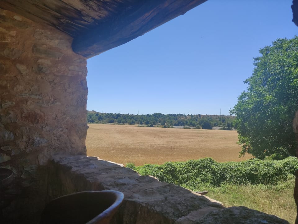 View from property