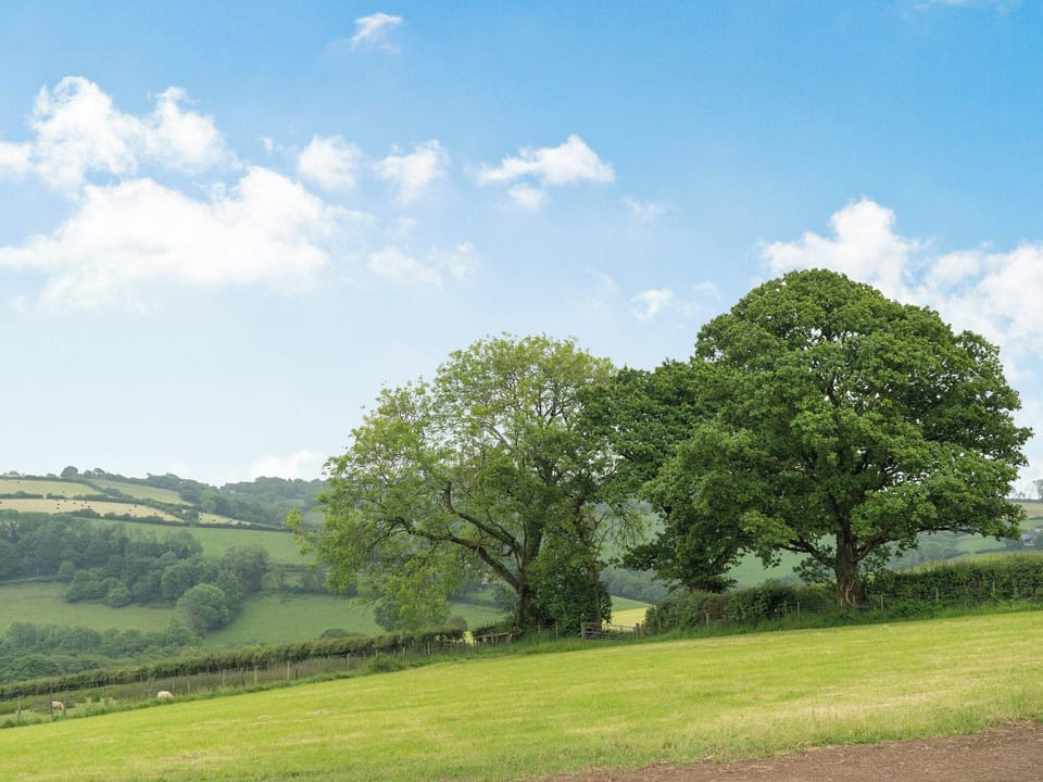 Surrounding area | Llain Farm- Barcud - Llain Farm, Llanboidy, near Laugharne
