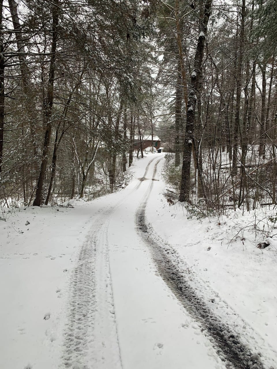 Come catch some snowy white winter magic at our cabin - no 4-wheel drive needed!