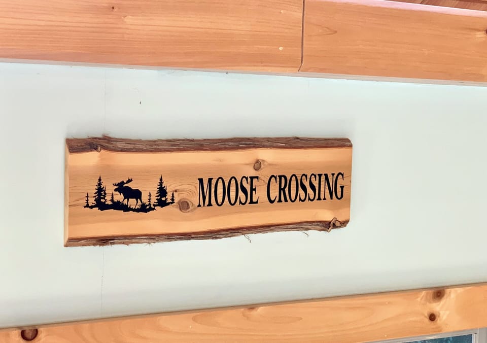 Moose sighting!