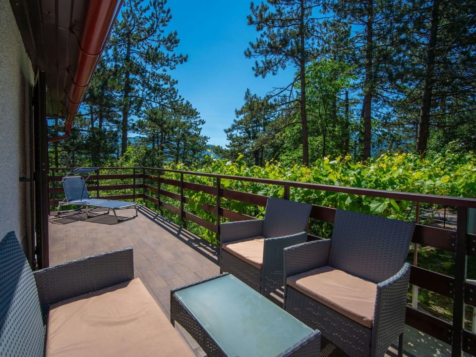 Sky, Plant, Property, Building, Tree, Shade, Wood, Interior Design, Outdoor Furniture, Grass