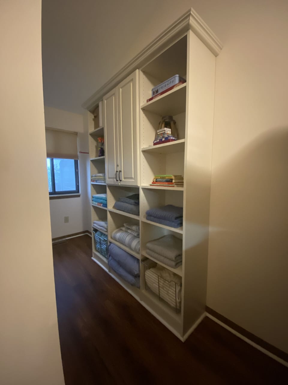 Storage in Second Bedroom 