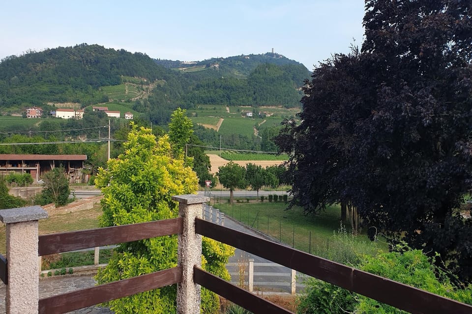 View from Holiday Home [summer]