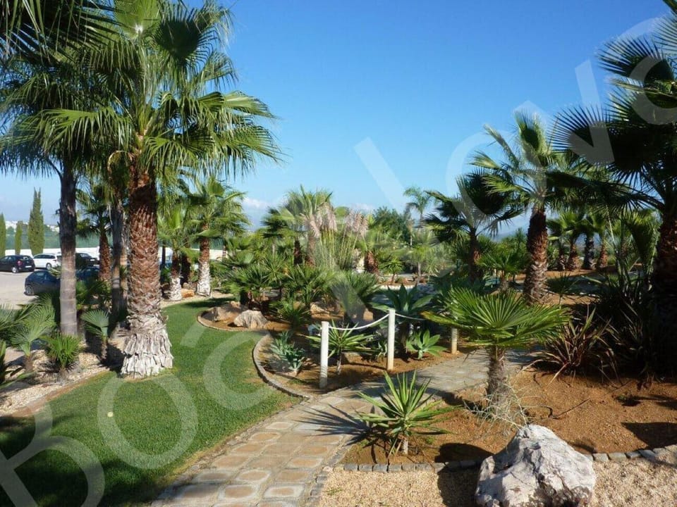Beautifully landscaped tropical gardens at the Boa Nova resort with tall palm trees, succulents, stone pathways, and lush greenery creating a peaceful retreat near Carvoeiro in the Algarve