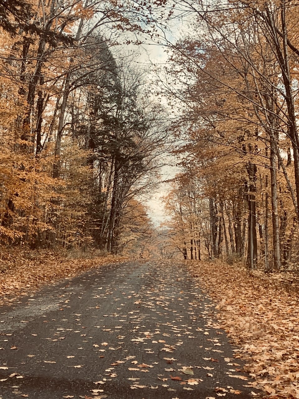 A fully maintained road provides easy four season access.  