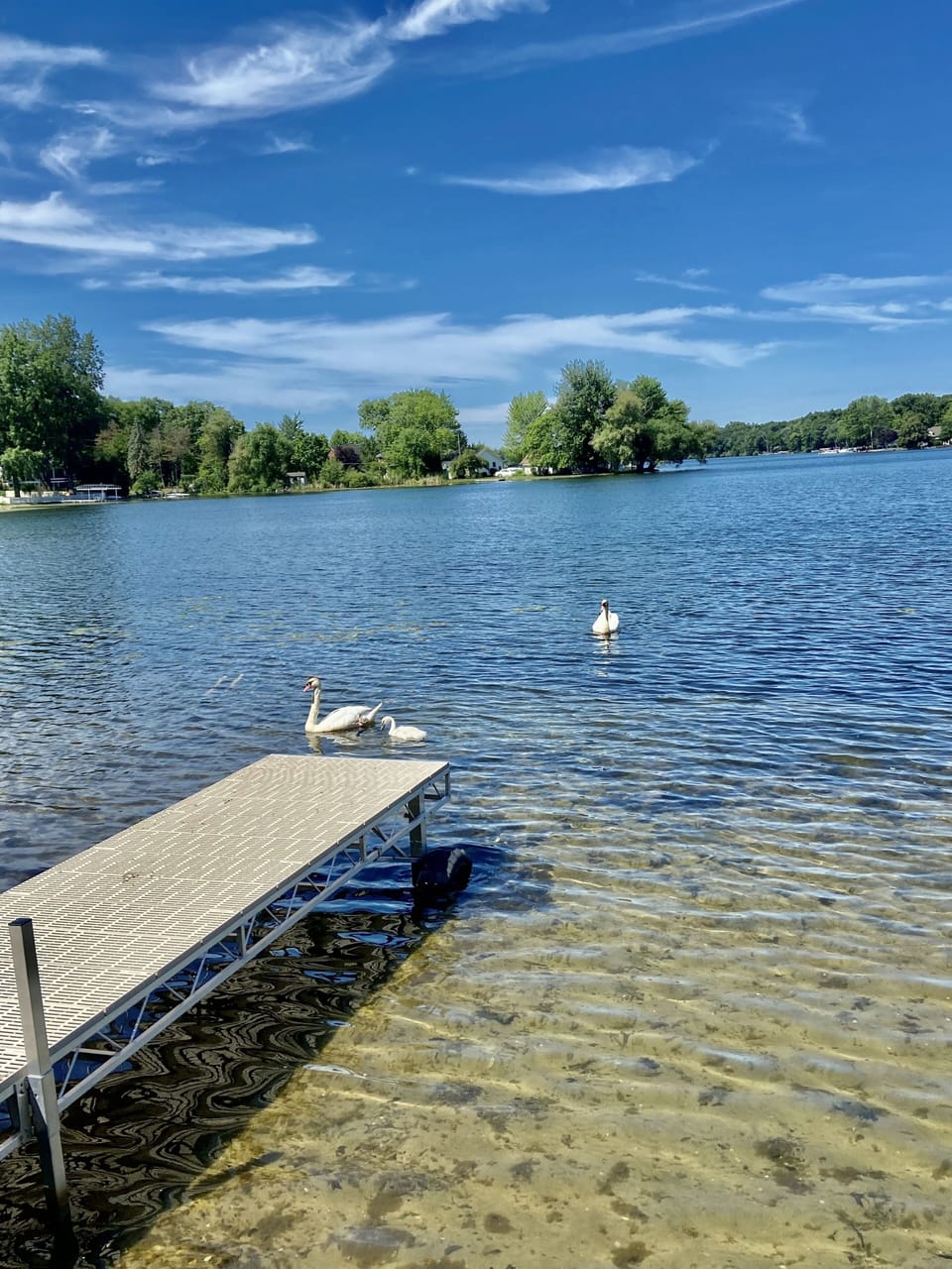 Shallow for about the first 20 ft, great for kids to play and swim!
