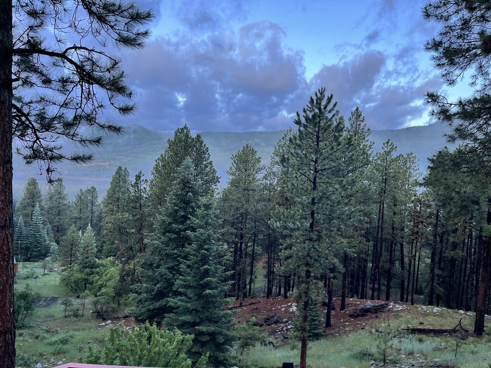 View from property