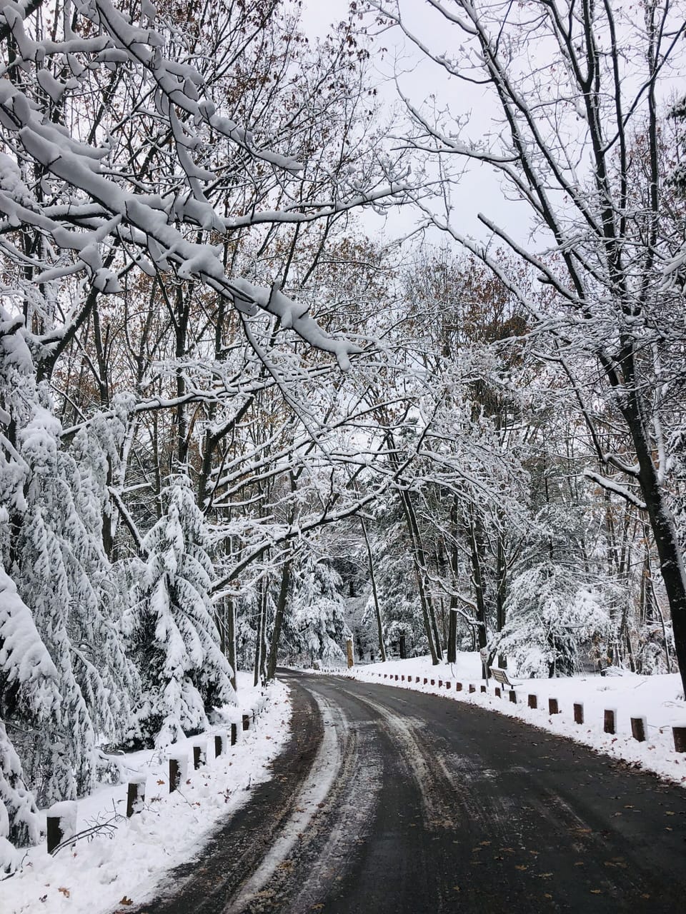 Beautiful winter-roads in the Christmas season