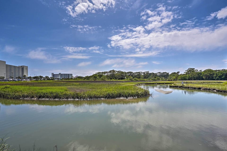 Water Views