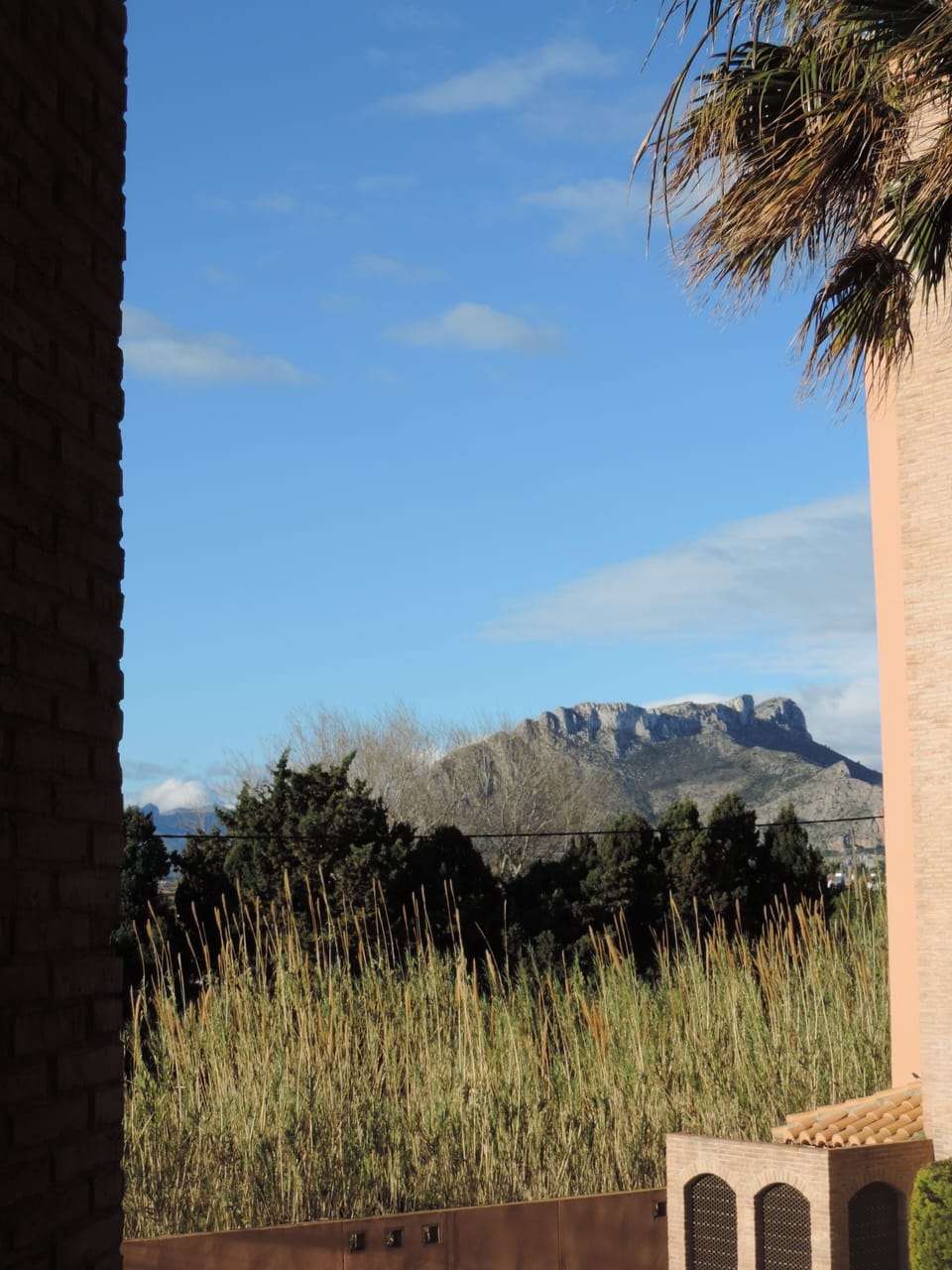 View from property
