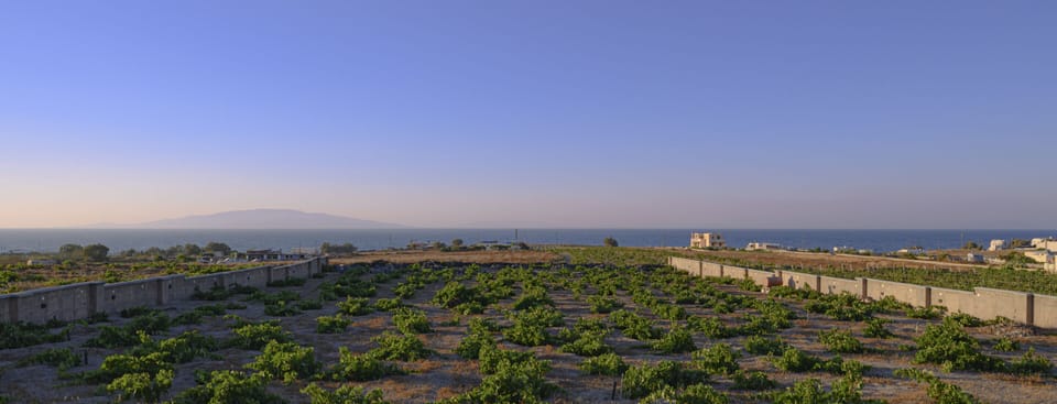 Our Villas are located between the famous Santorini vineyards!