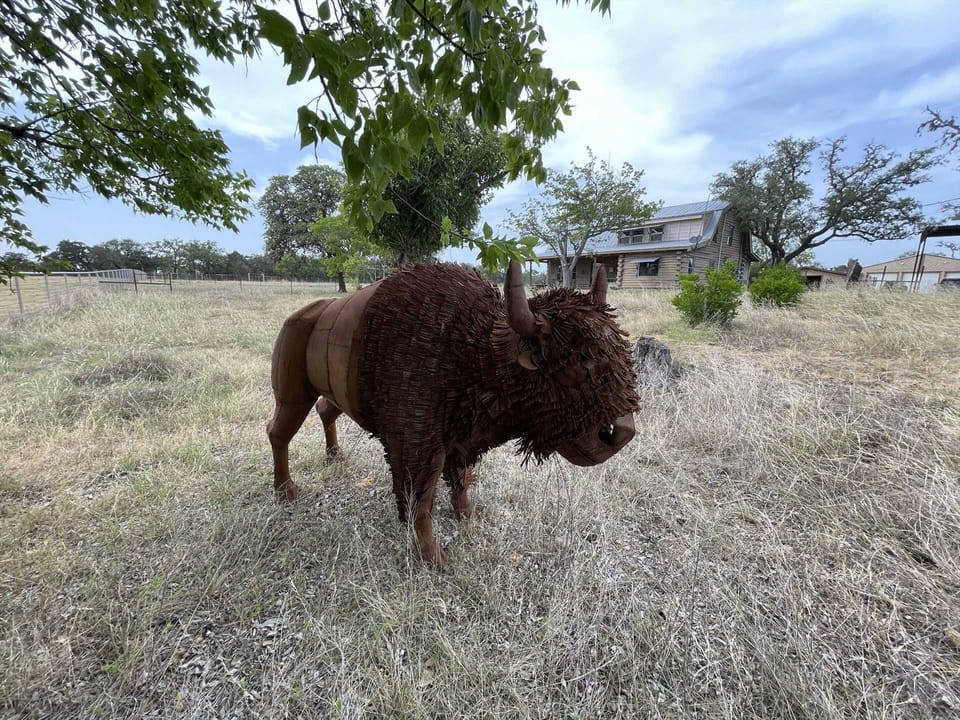 Folks have told us that from the road, this creative bison sculpture at Doe Creek looks like the real thing!