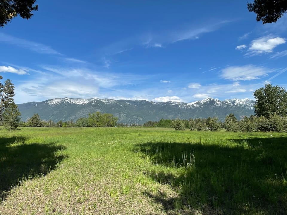 Meadow & View on other side of the driveway.