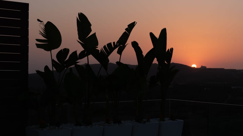 Embrace the vibrancy of rural sunsets.