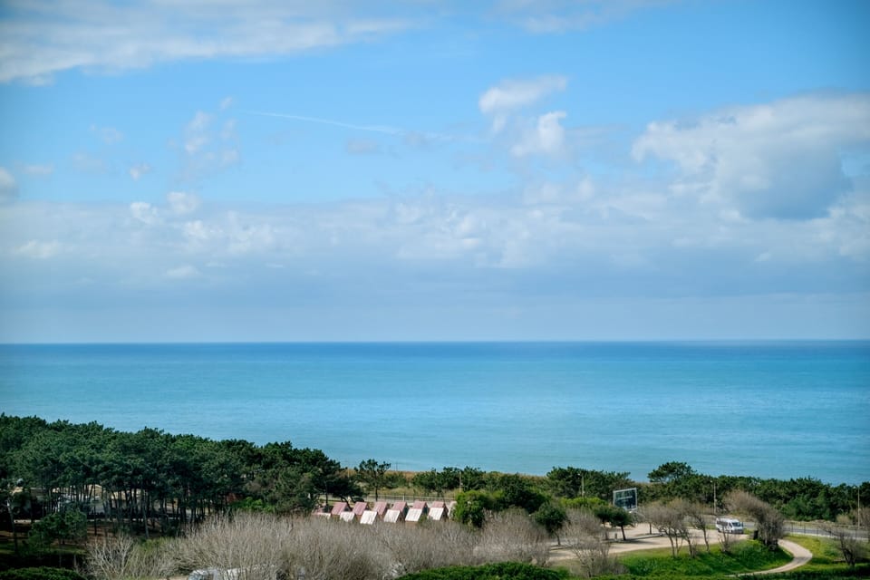 Beach/ocean view