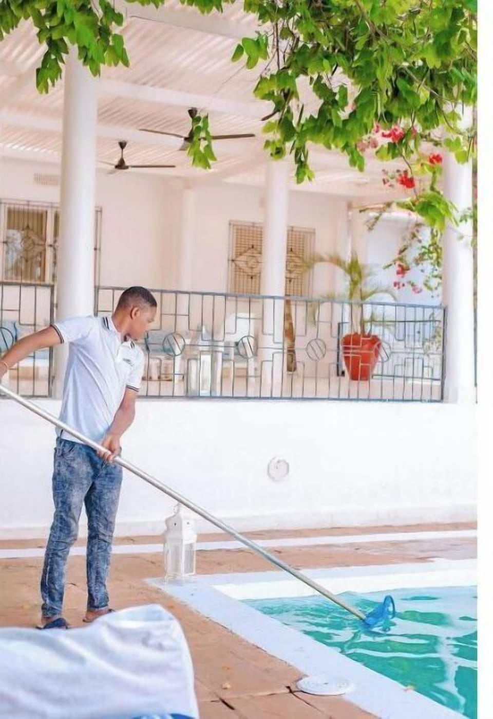 Pool