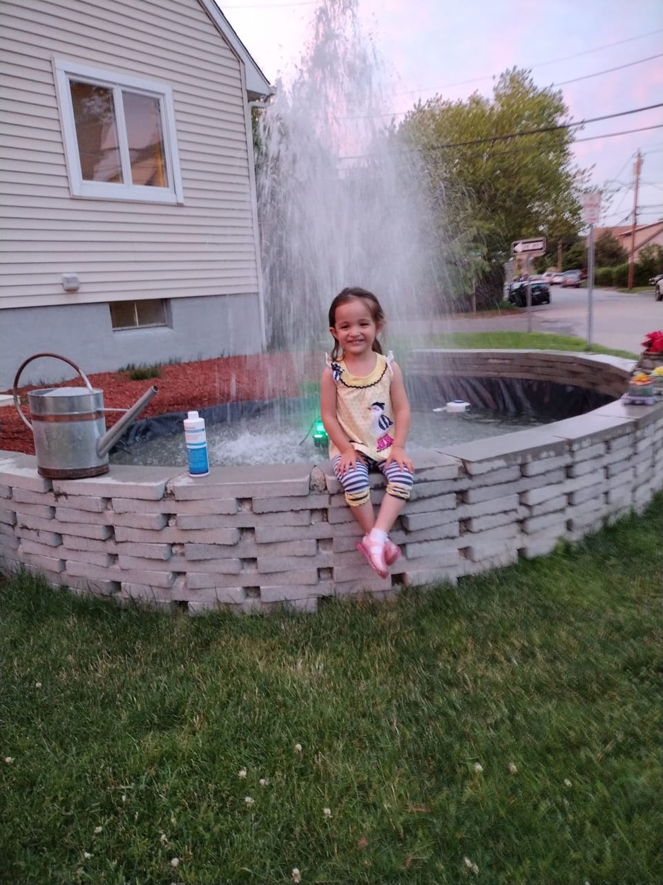 the fountain 