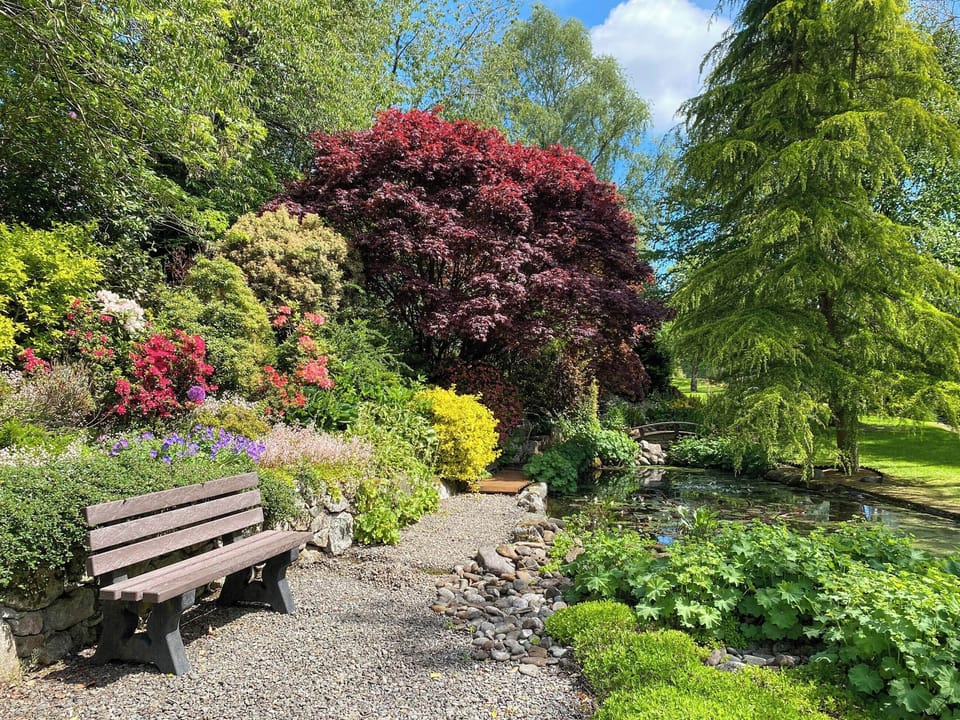 Setting | Forge Mill Cottage, Dalbeattie