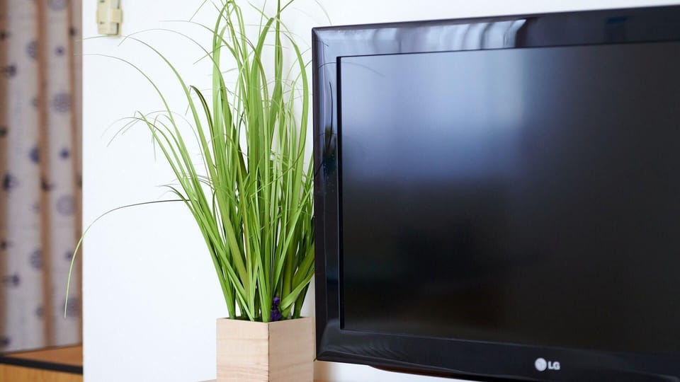 Television