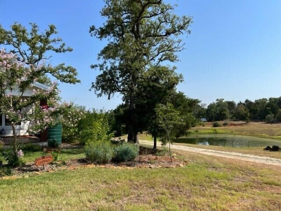 Pond View