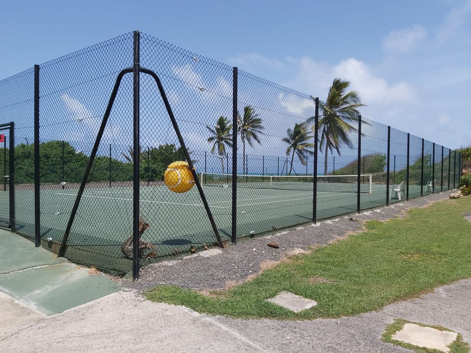 Sport court