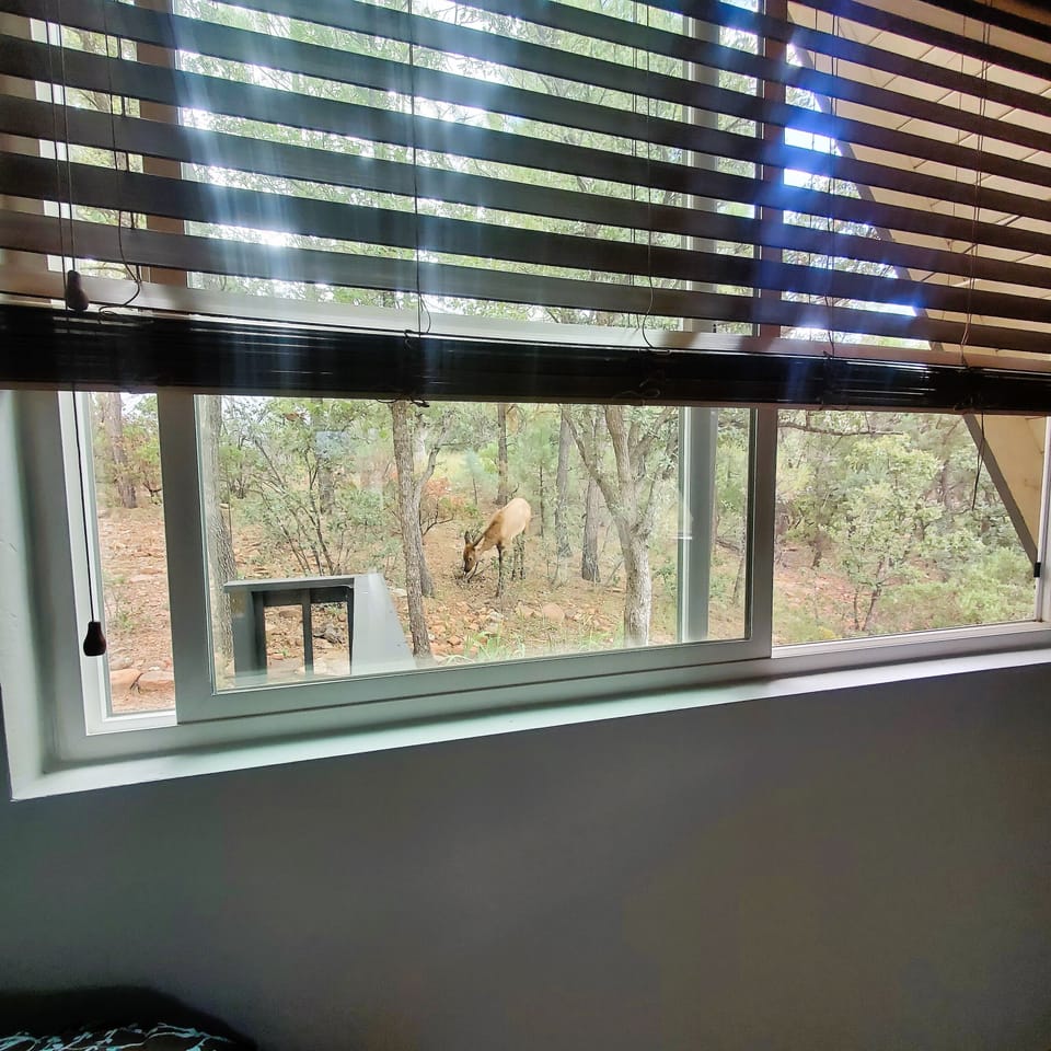 Easy Opportunities for Wildlife Sightings
