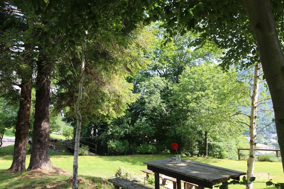 Garden [summer]