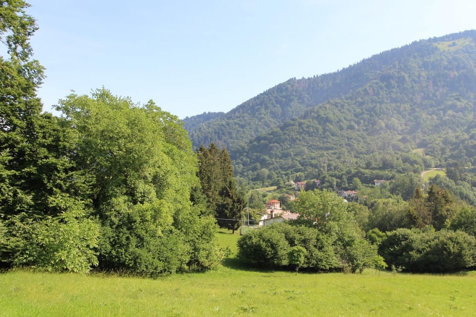 View from Holiday Home [summer]