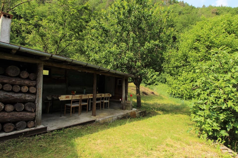 Garden [summer]