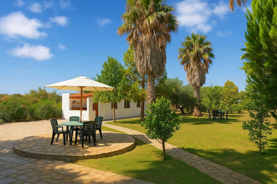 Shared Patio – Garden-Level Outdoor Lounge Area
Relax in the shade surrounded by palm trees and greenery in this common-use seating area.