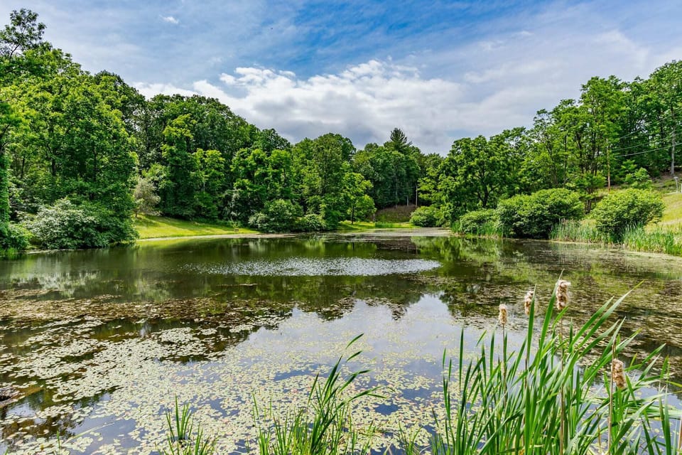 Community pond near the cabin