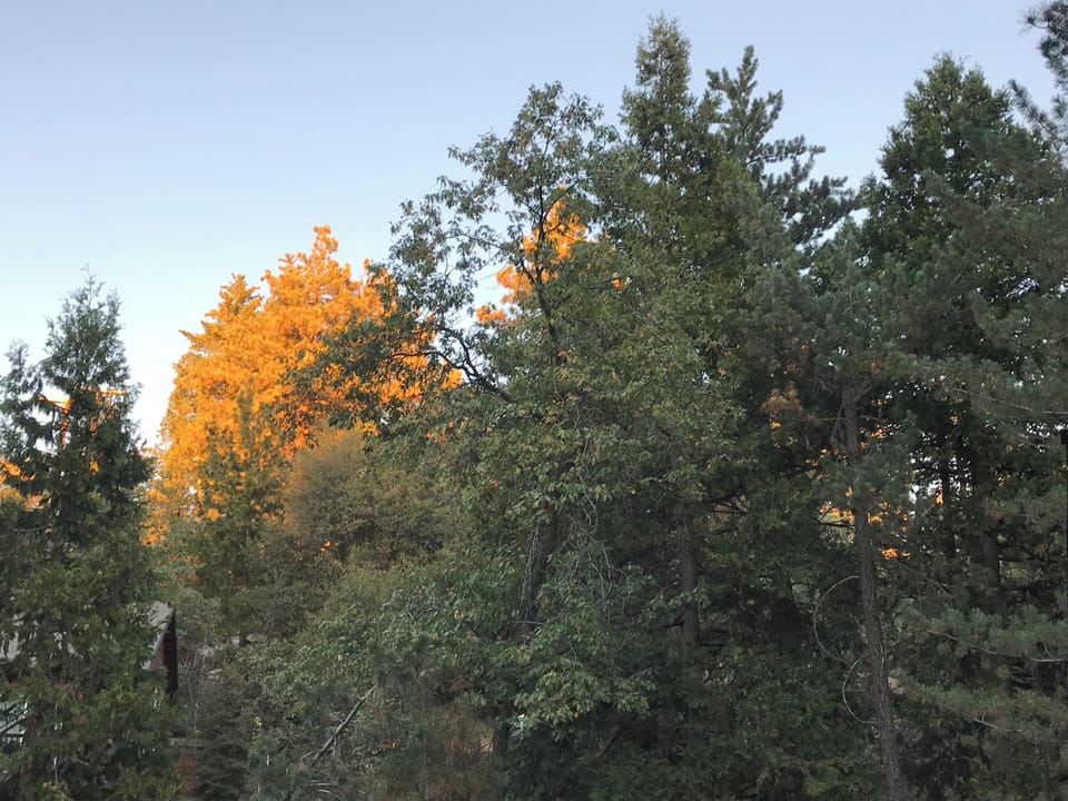 View from Back Deck
