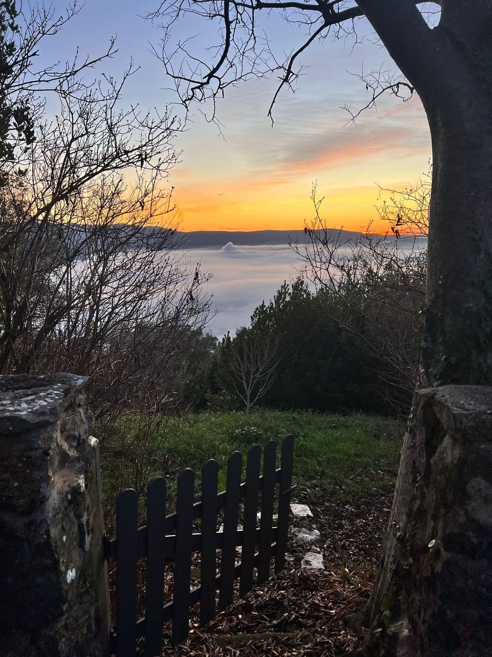 View from property