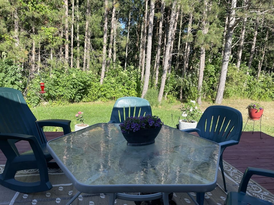 back deck