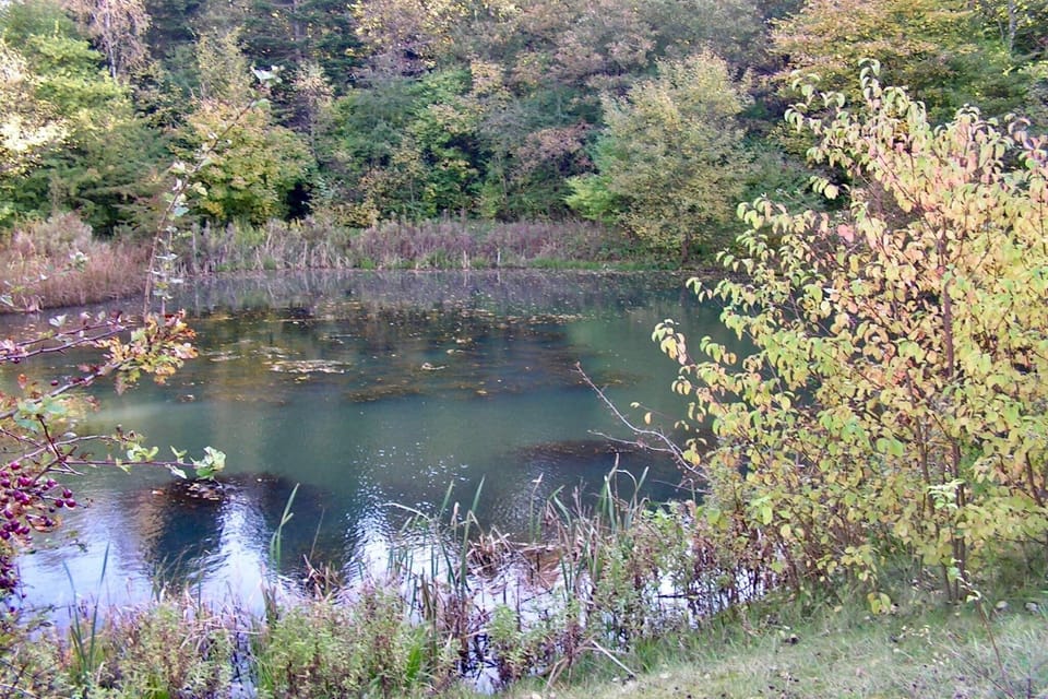 Water view