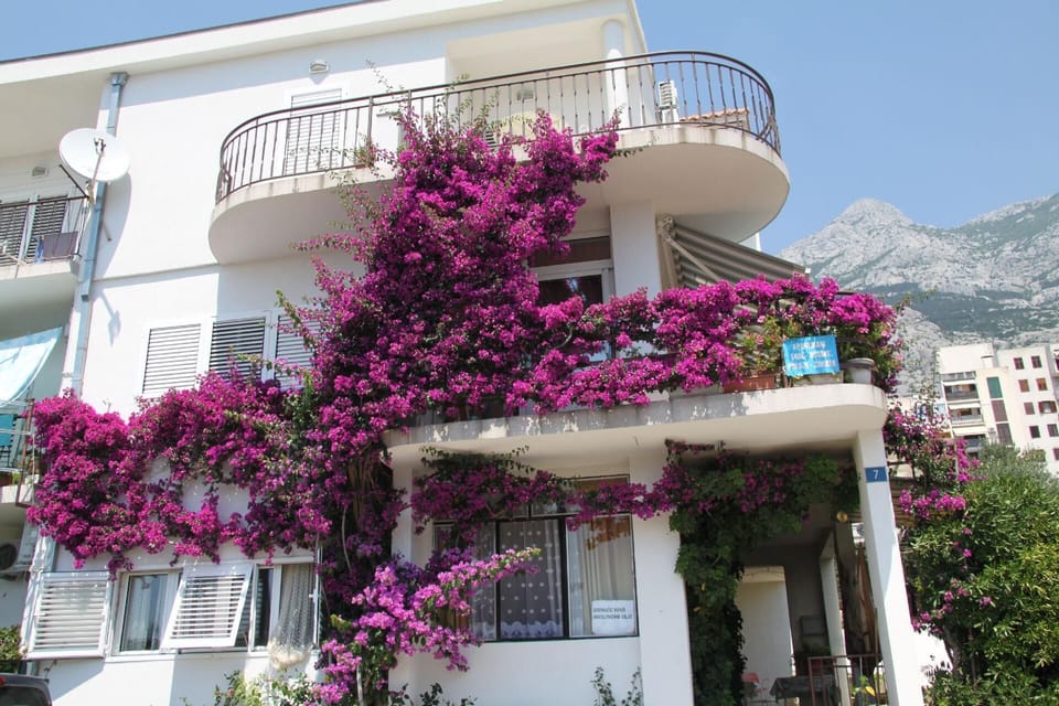 External view of the building